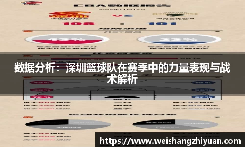 数据分析：深圳篮球队在赛季中的力量表现与战术解析